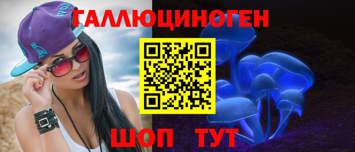 Псилоцибиновые грибы Magic Shrooms  Алатырь  продажа наркотиков  Галлюциногенные грибы Psilocybine cubensis 