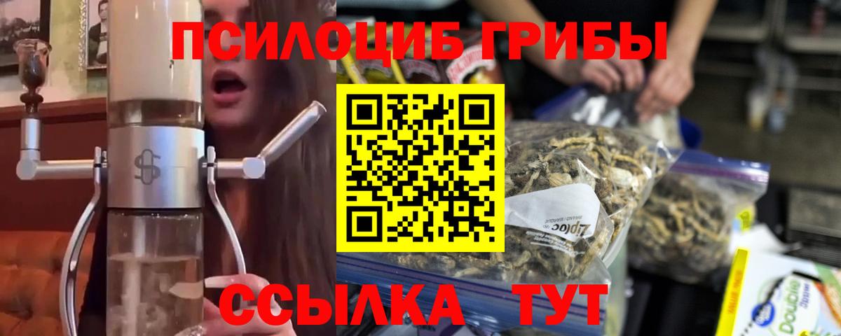 Псилоцибиновые грибы Psilocybine cubensis Алатырь